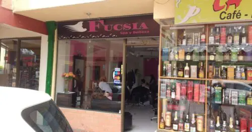 FUCSIA SA Y BELLEZA FUCSIA SA Y BELLEZA